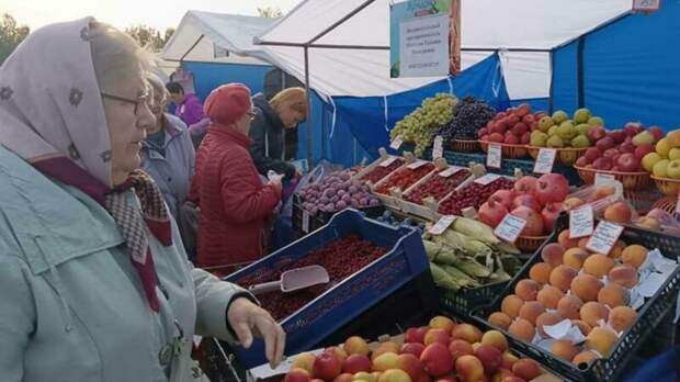 Осенние ярмарки в Барнауле / Фото: мэрия Барнаула