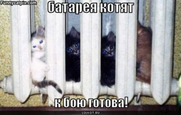 й4-7 (480x305, 88Kb)