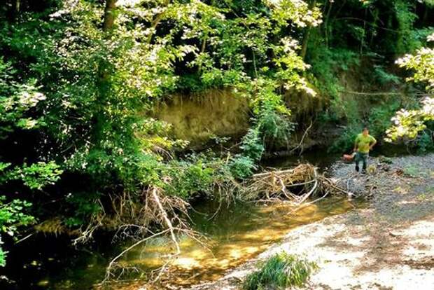 Бревна и коряги: русла рек в Туапсинском районе Кубани забил древесный мусор