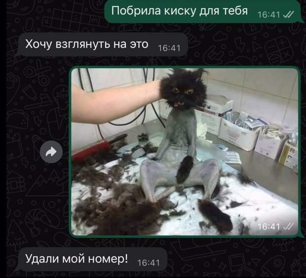 @psychology_funny  #юмор #смешное #приколы