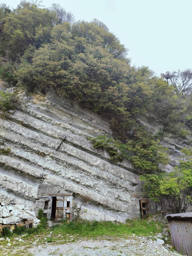 Источник фото: Reddit