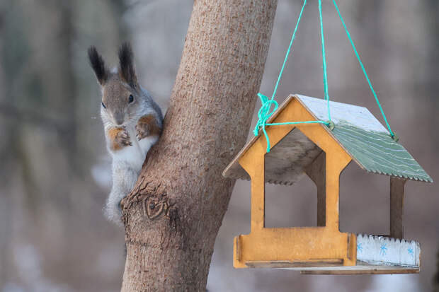 Москвичей предупредили о непогоде