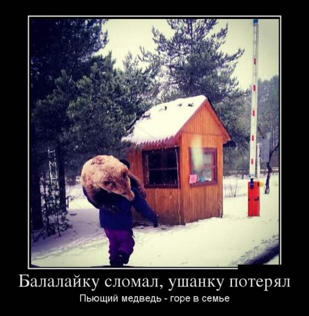 Демотиваторы бревно, демотиваторы, юмор