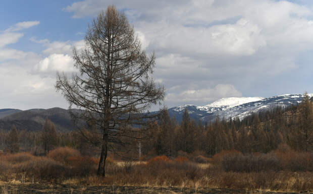 Поисковики заявили о надежде в поиске пропавших Усольцевых