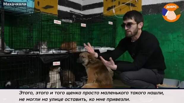 Ветеран СВО открыл приют для больных и брошенных домашних животных