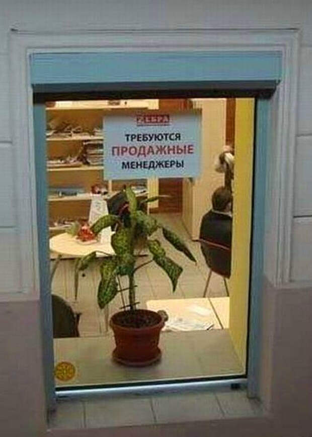 17 эпичных объявлений, авторам которых хочется аплодировать стоя