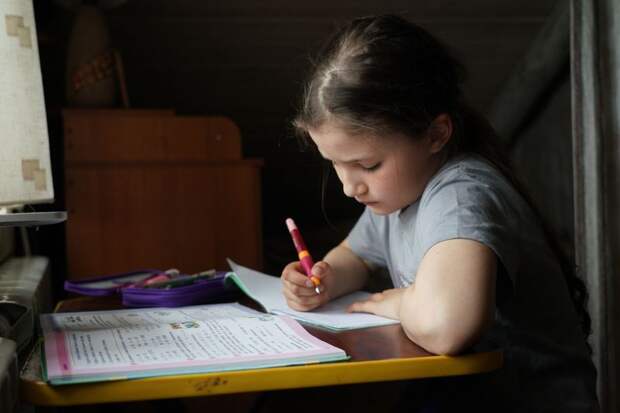 Минпросвещения хочет заблокировать сайты с готовыми домашними заданиями