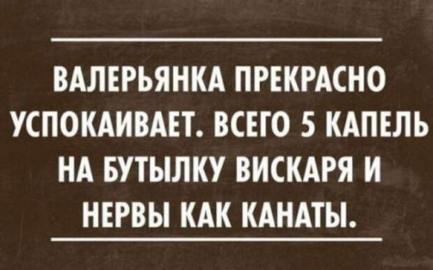 1417639634_zhizotkk26 (450x281, 98Kb)