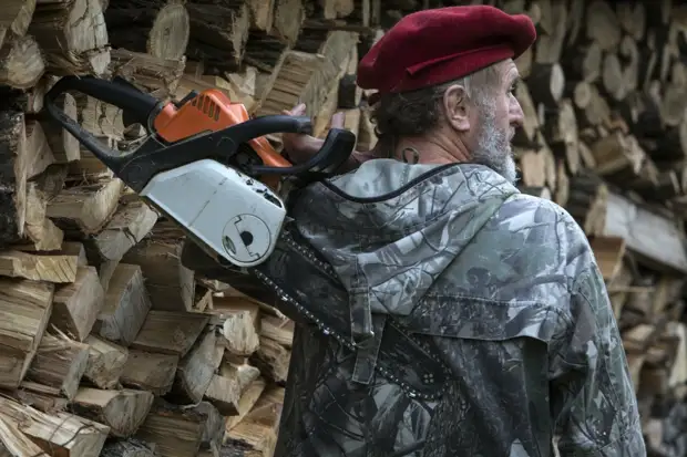 На Кубани "чёрному лесорубу" заменили условный срок на реальный
