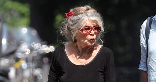 Добровинский: Брижит Бардо перед смертью хотела приехать в Россию