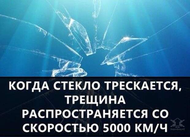 Самые интересные факты в мире