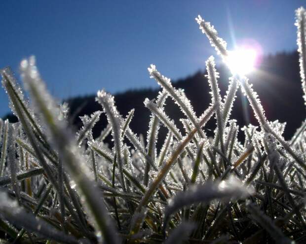 hoarfrost01 Утренний иней