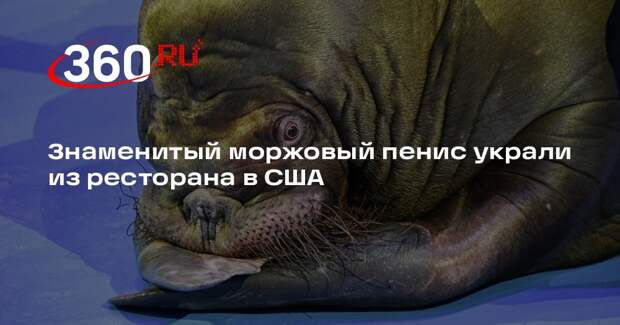 Знаменитый моржовый пенис украли из ресторана в США