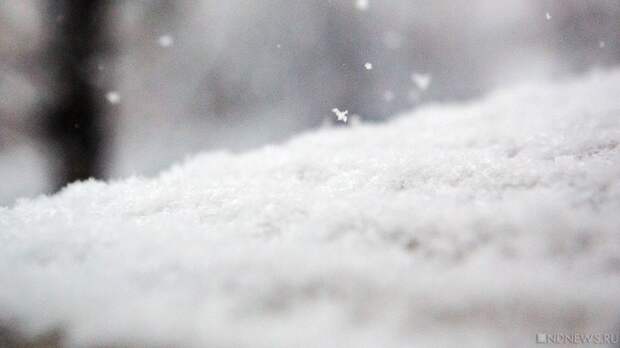 Снежная буря в Москве: в столичных аэропортах все больше отмен и задержек рейсов