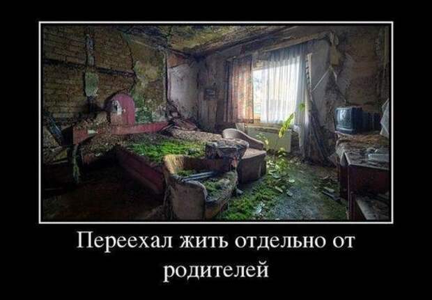 Немного новых демотиваторов