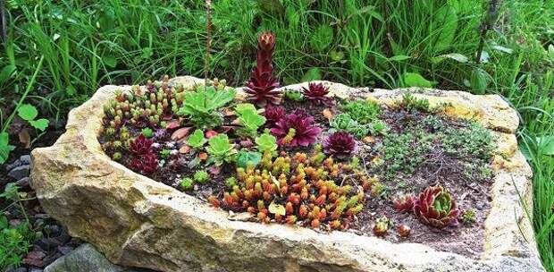 Как создать сад камней и цветов всего за неделю - 14 суперидей, от которых все придут в восторг