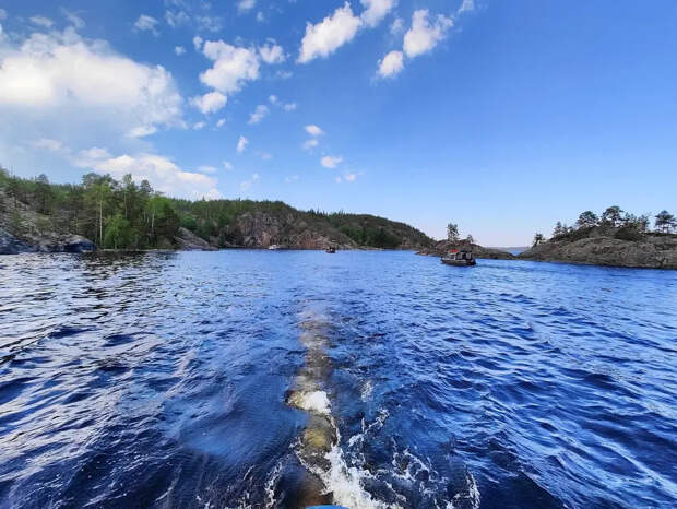 У берегов Коста‑Рики поймали уникальную "золотую" акулу‑альбиноса