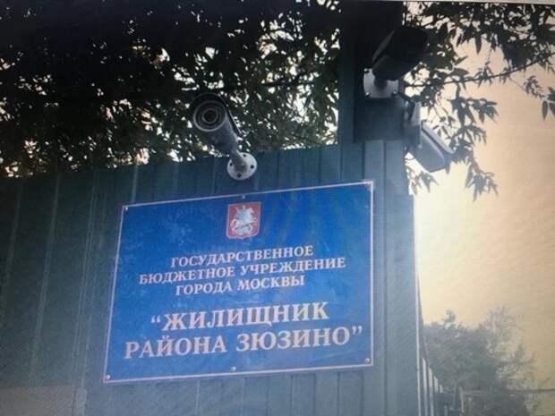 zuzino.jpg zuzino.jpg