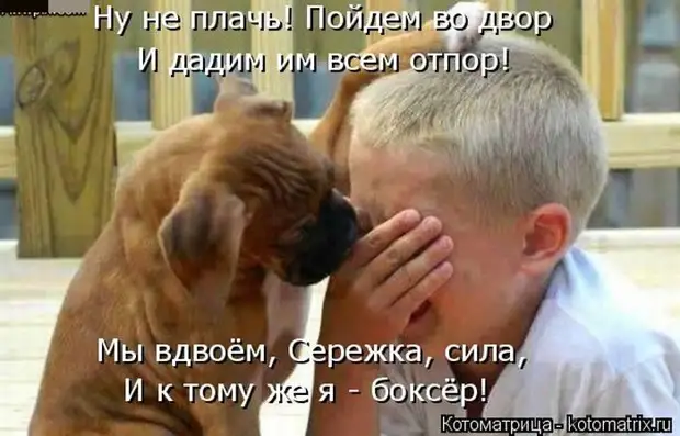 Лучшие котоматрицы