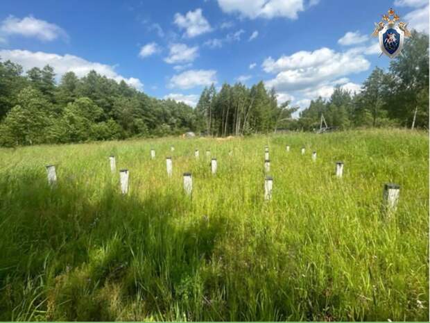 СК: петербургский бизнесмен расскажет суду, как обманул клиентов на 310 млн