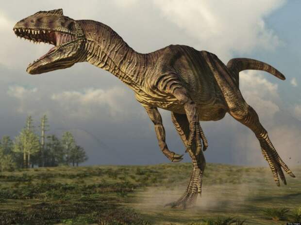 Факты, которые изменят ваше представление о динозаврах