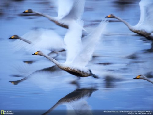 Победители и почётные места конкурса National Geographic Travel Photographer of the Year 2017 (19 фото) Победители и почётные места конкурса National Geographic Travel Photographer of the Year 2017 (19 фото)