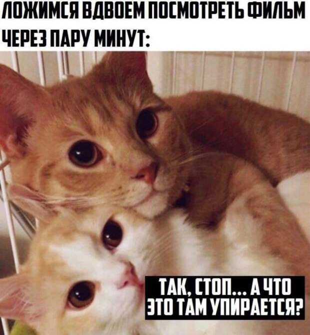 Мемы и приколы про &quot;это&quot;