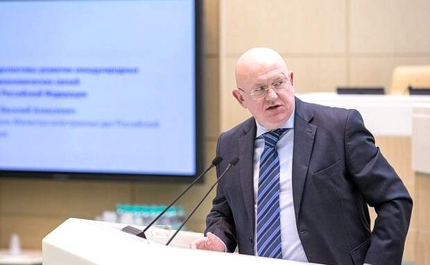 Небензя: ООН обросла жиром, но голодный паек от США не поможет