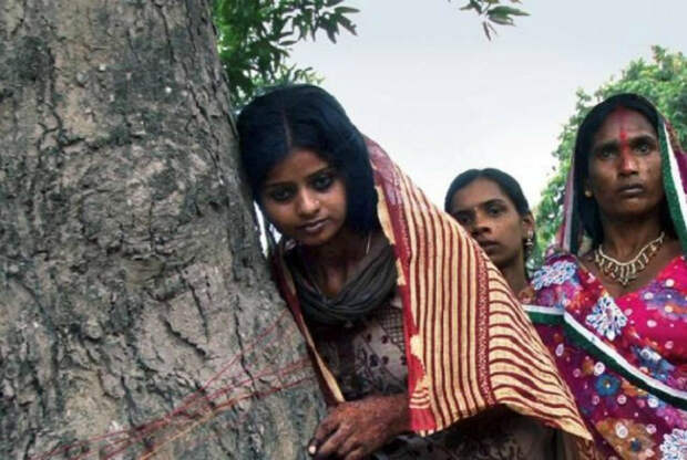 Замужество с деревом в Индии. | Фото: Gulf News.