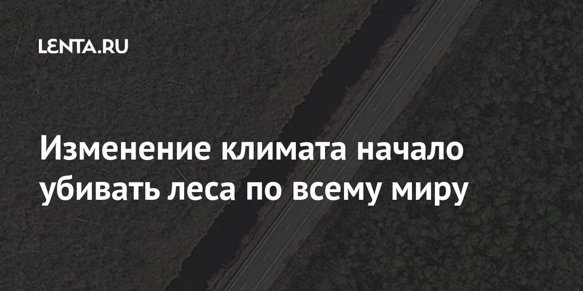 Изменение климата начало убивать леса по всему миру