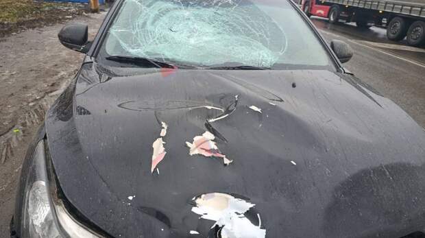 В Углегорске пьяный водитель сбил 14-летнего подростка