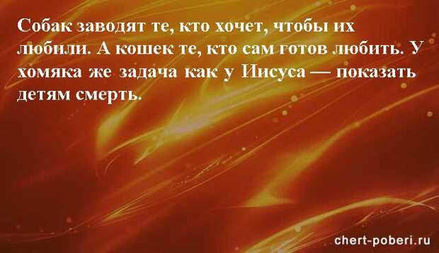 Самые смешные анекдоты ежедневная подборка chert-poberi-anekdoty-chert-poberi-anekdoty-33240924052020-17 картинка chert-poberi-anekdoty-33240924052020-17
