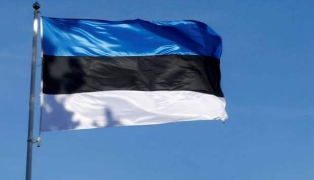 В Эстонии отказались поддержать соглашение ООН о миграции | Продолжение проекта «Русская Весна»
