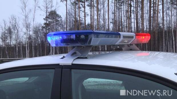 Пассажир автобуса разделся догола и пытался убежать по трассе