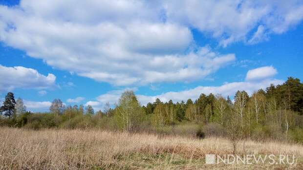 Пожароопасный сезон в Свердловской области начнется 15 апреля