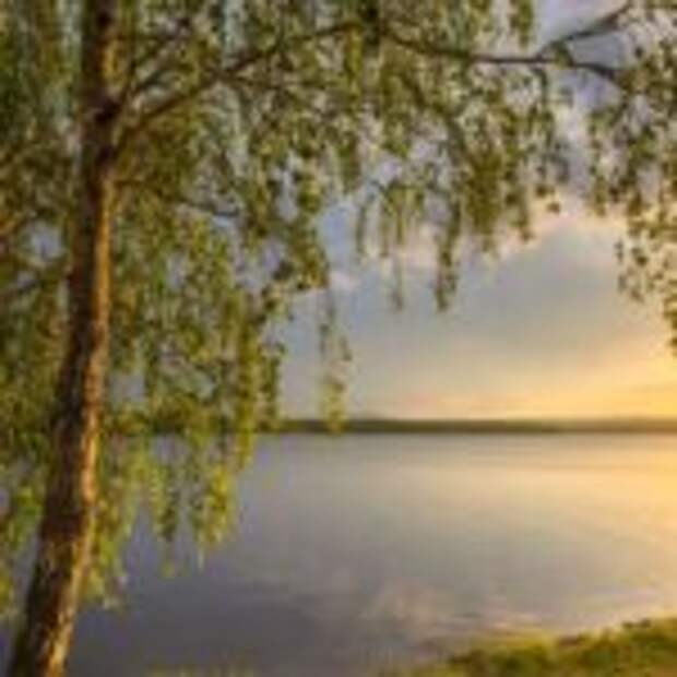 Родниковая песня