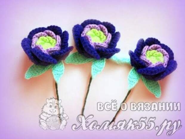 Вязаные цветы крючкоь Вязаные цветы крючкоь