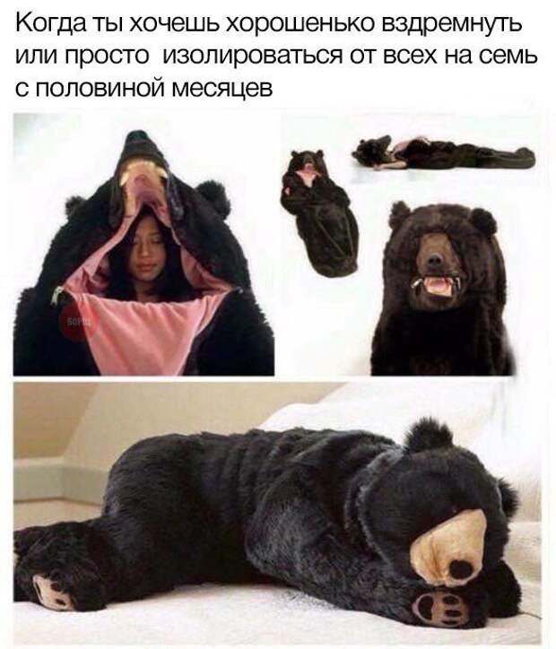 Подборка картинок. Дневной выпуск (24 фото)