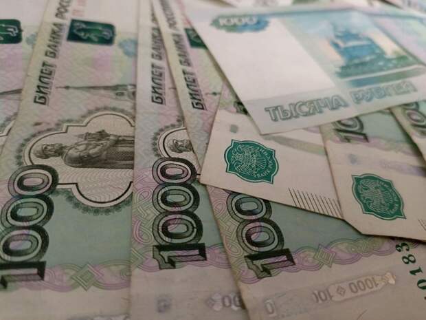 Бюджетники Курганской области к Новому году получат по 10 тыс. рублей