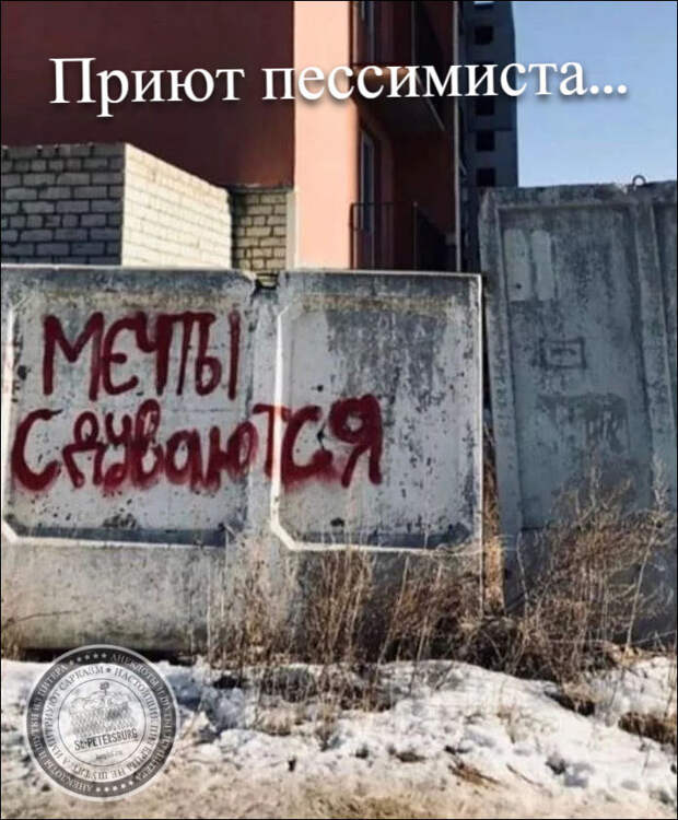 Приют пессимиста