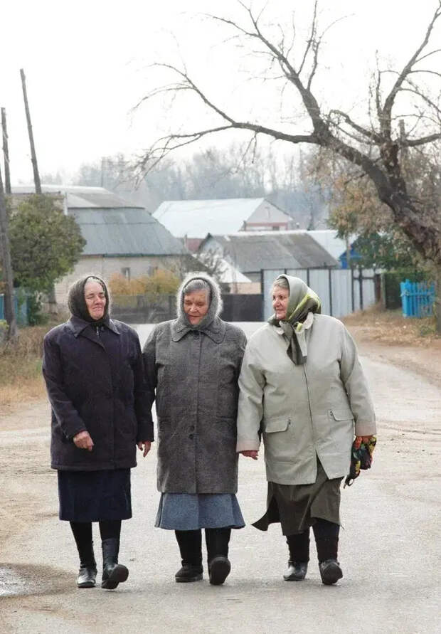 "Удалёнка по возрасту": в России расширят занятость для пенсионеров