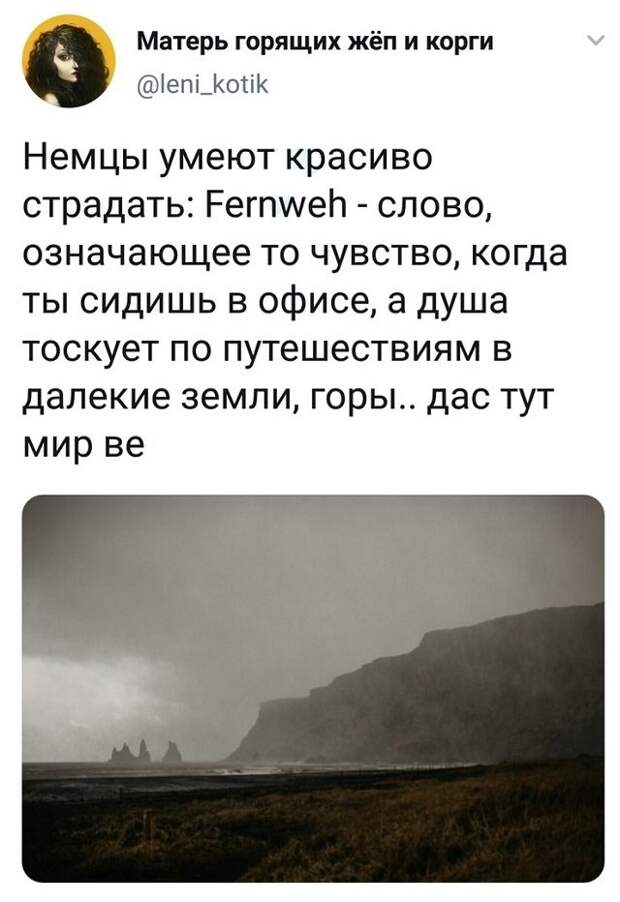 твит про немцев