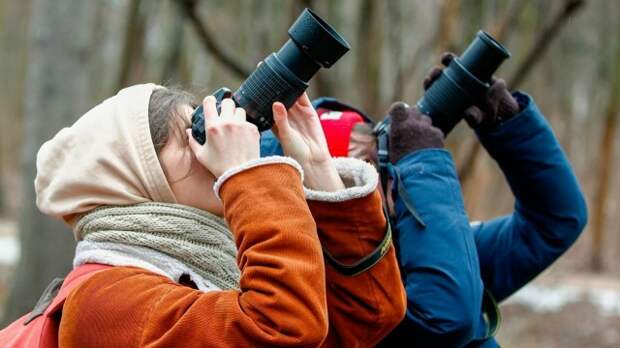 Кубок столицы по спортивной орнитологии «Весна-2026» состоится 18 апреля