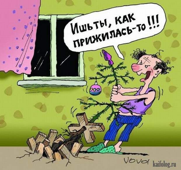 Веселые картинки (60 картинок) Веселые картинки (60 картинок)