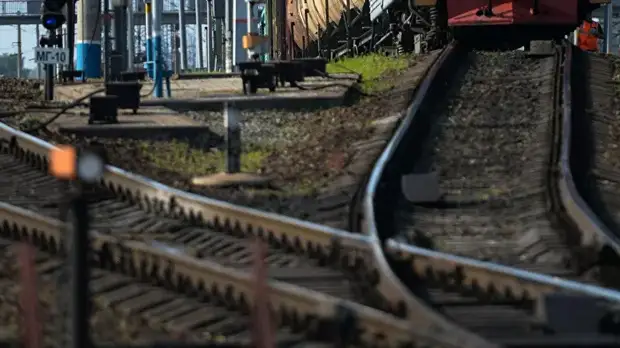 Кабмин расширил механизм субсидирования перевозок сельхозпродукции по железной дороге