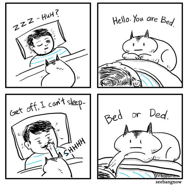 Death, Dogs, Cats And Me