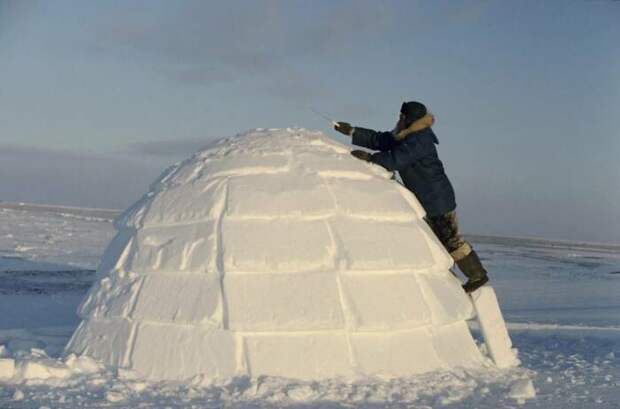 Иглу строится из прессованного снега примерно за час. |Фото: razrisyika.ru.
