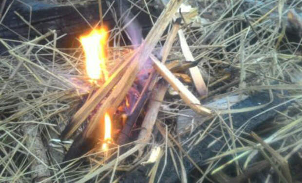Добываем огонь в сыром лесу, когда все дрова мокрые. Без жидкости для розжига