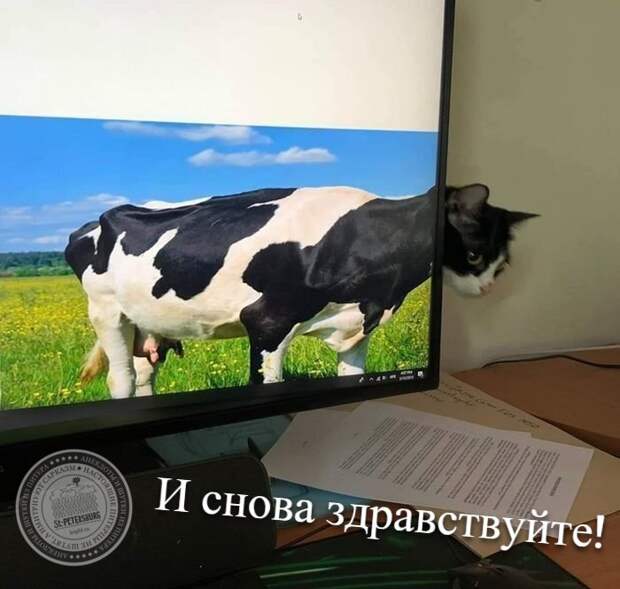 И снова здравствуйте!