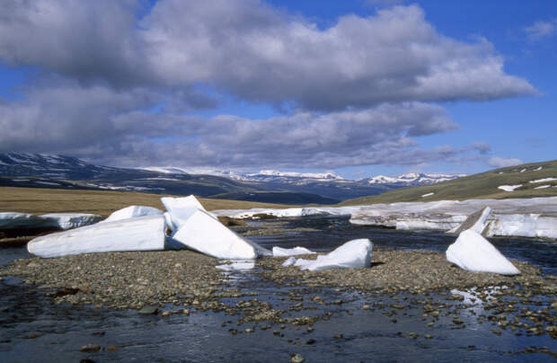 Nature Geoscience: учёные выяснили, что опасно ускоряет таяние полярных льдов